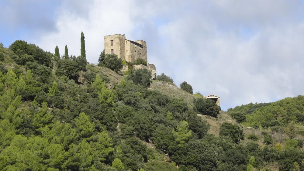 Osona. En aquesta imatge que ens ha fet arribar una de les nostres lectores podem veure que les pluges que van caure mesos enrere són ben evidents en la vegetació. En aquest cas, a la vora del castell de Besora.