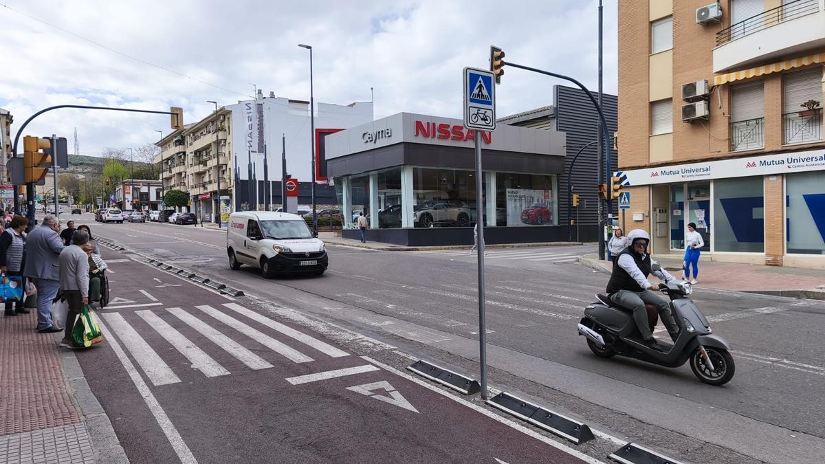 Carril bici en la avenida del Parque.