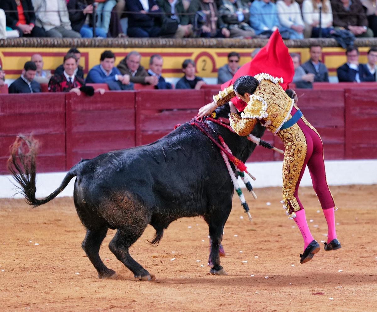 Momento en el que el animal embiste a Emilio de Justo al entrar a matar.