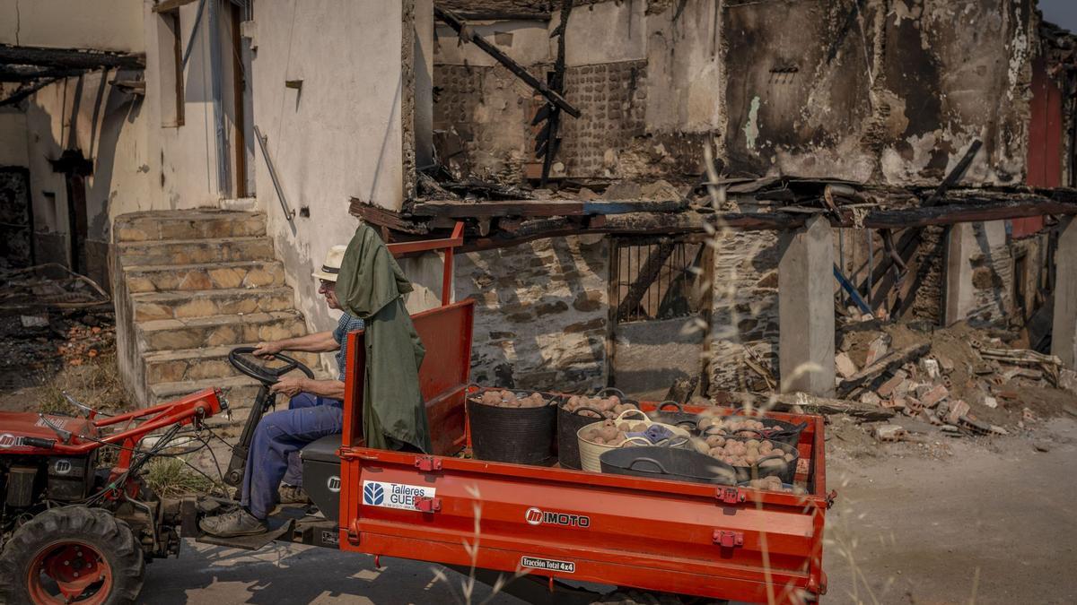 Un vecino de Alixo, devastada por el fuego, transporta patatas en su camión.