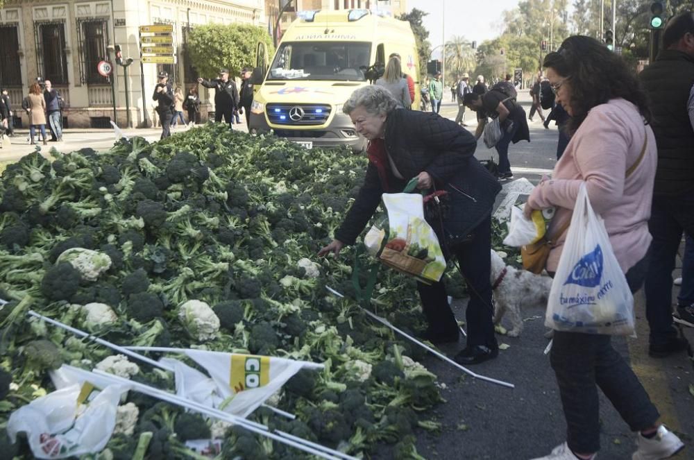 Así ha sido la manifestación de los agricultores en Murcia (II)