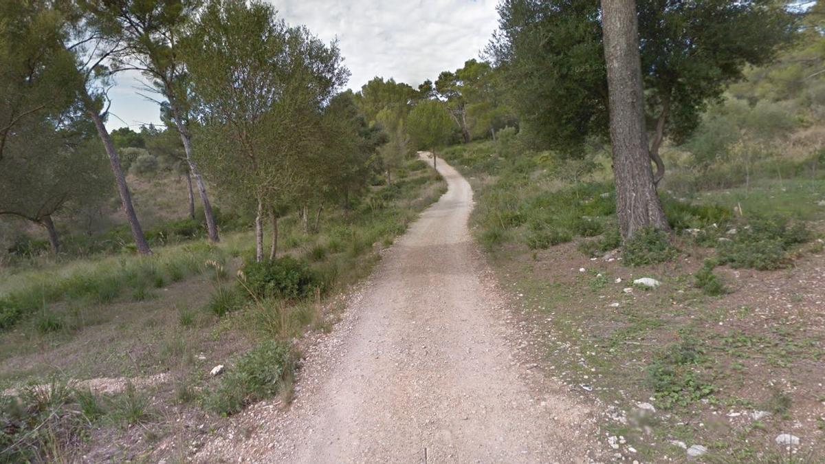 Camí del Puig de Sant Martí, por donde transcurriría el cable si se acepta la propuesta votada por los vecinos.