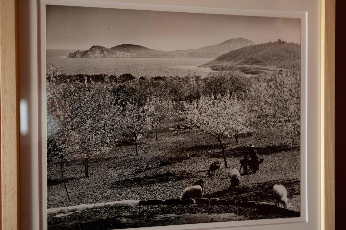 Todas las imágenes de la exposición del fotográfo Robert Häusser en el Museu Puget