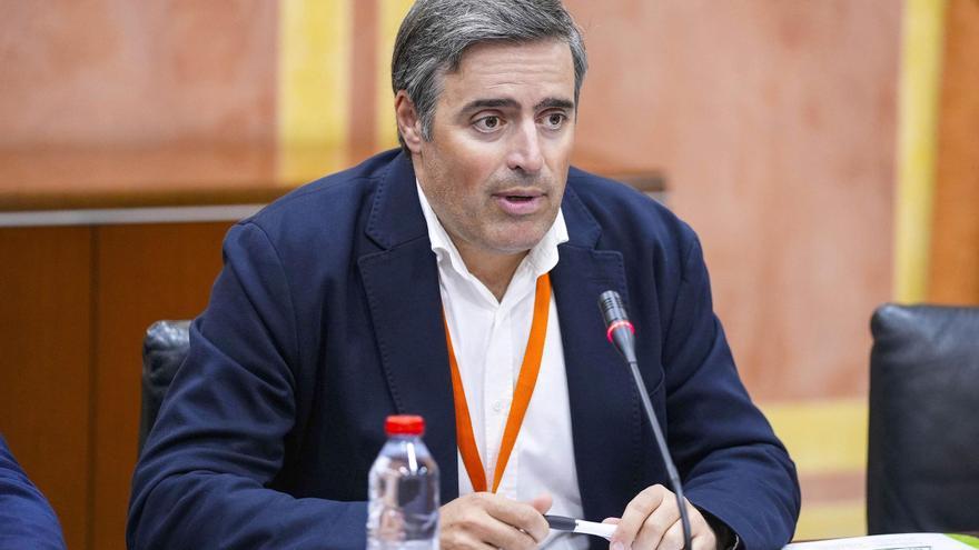 Archivo - El secretario general de la Unión de Pequeños Agricultores de Andalucía (UPA)
