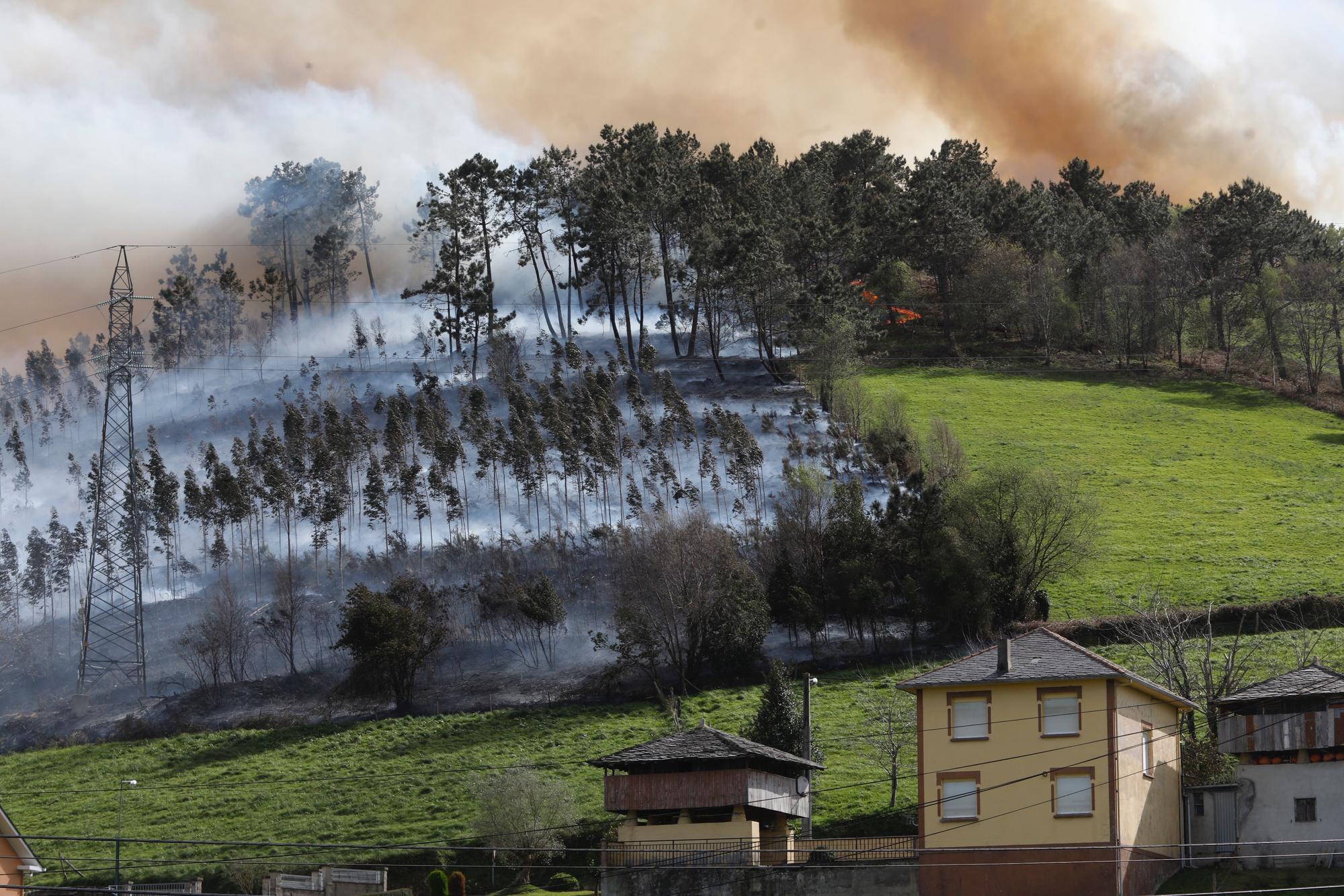 EN IMÁGENES: Gran oleada de incendios en Asturias