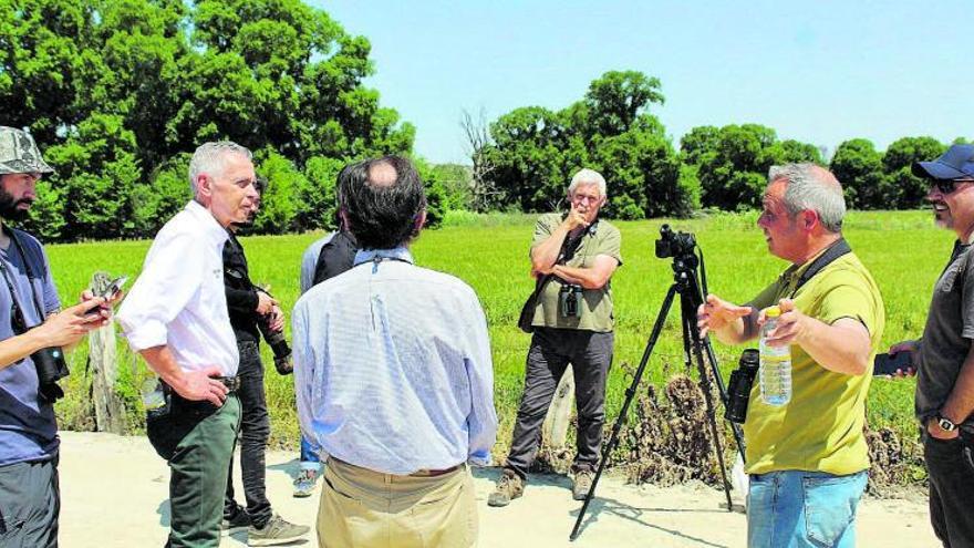 Iberdrola dedica más de 10 años al estudio del milano real en la Península Ibérica