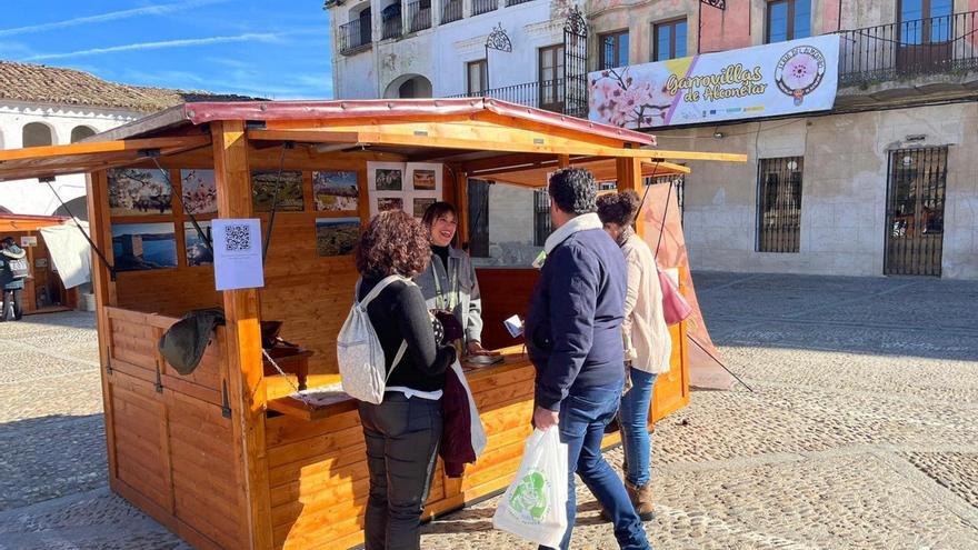 Y después del Almendro en Flor… ¡La IV Feria del Almendro de Garrovillas!