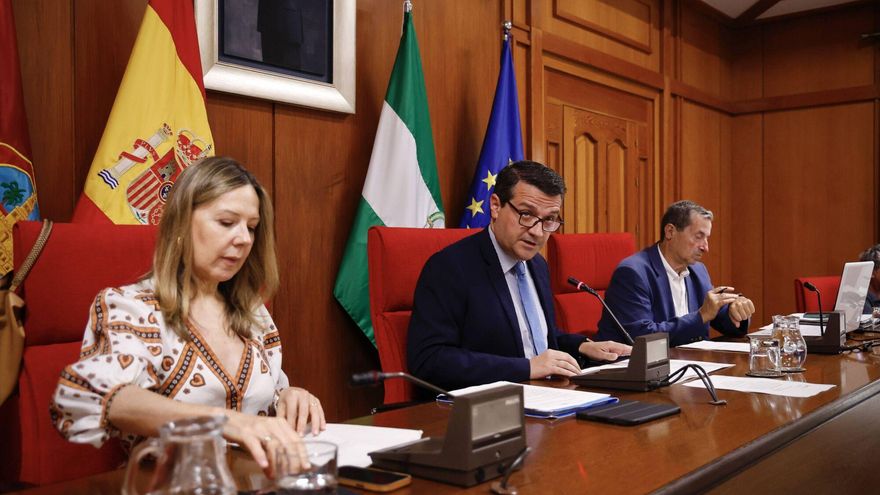 El Pleno de Córdoba cierra por vacaciones con la tarea de actualizar el plan local de emergencias tras el incendio de la Sierra