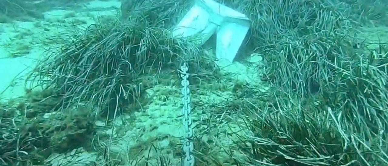 Captura del vídeo que muestra los efectos de los fondeos sobre la posidonia.