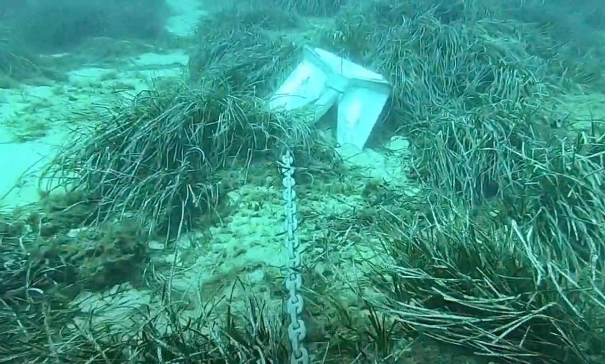 Captura del vídeo que muestra los efectos de los fondeos sobre la posidonia.
