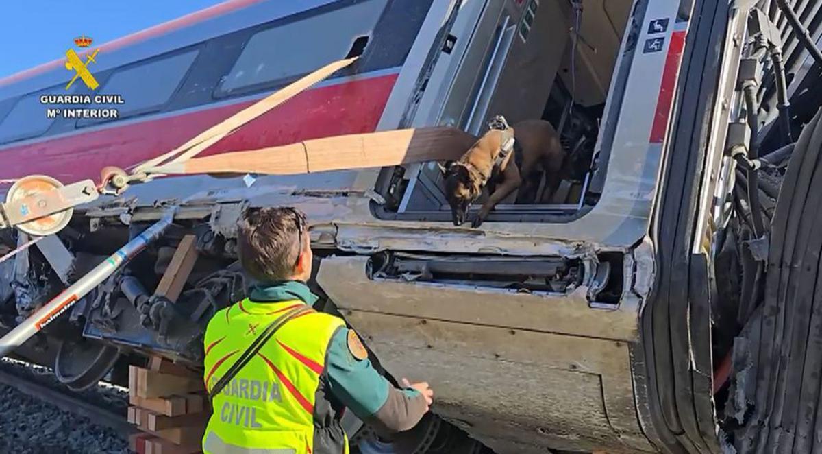La Guàrdia Civil incorpora agents de l’UCO per ajudar en les indagacions