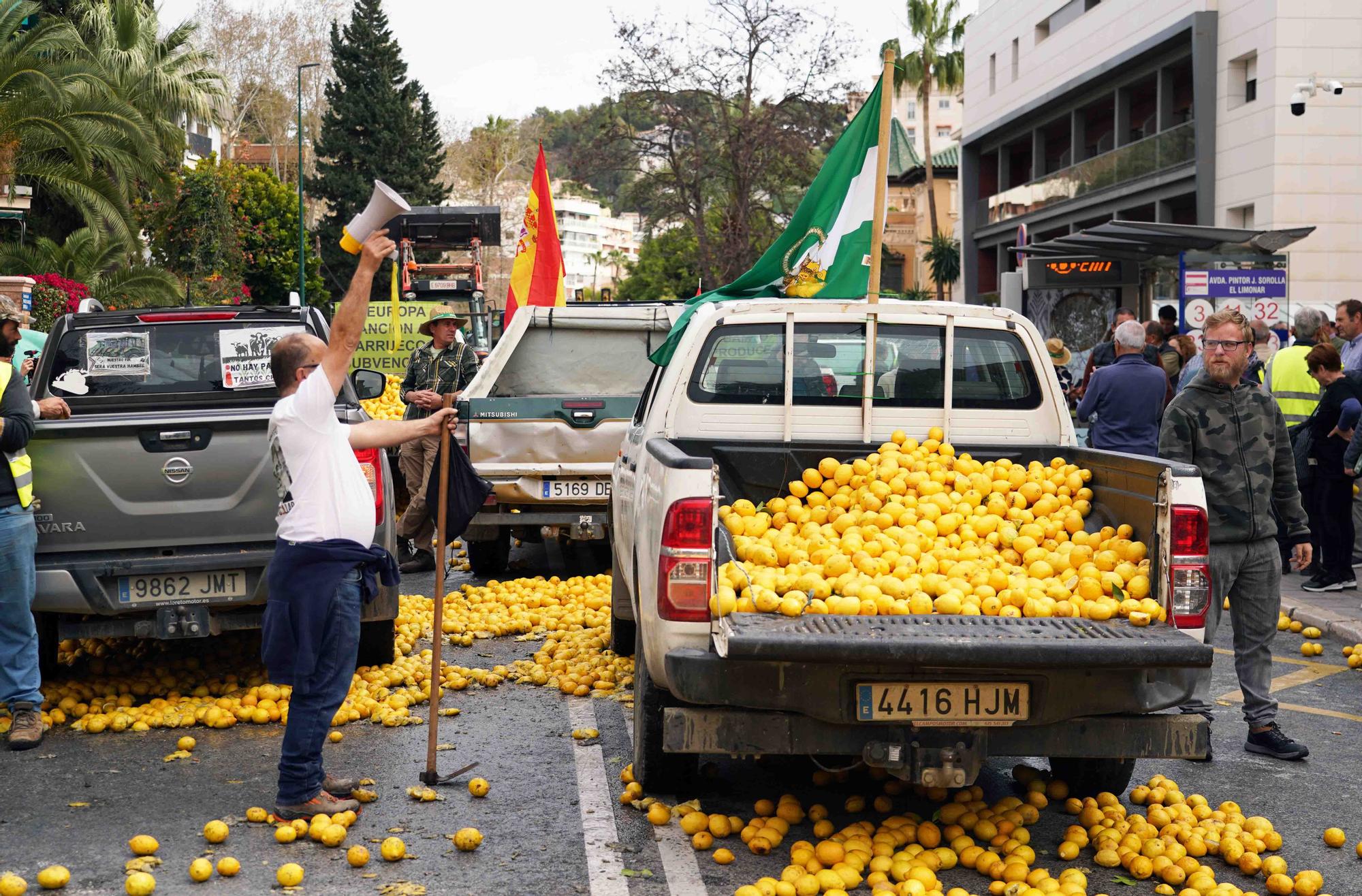 Concentración de agricultores en las puertas de la Subdelegación de Gobierno de Málaga, en el Paseo de Sancha.