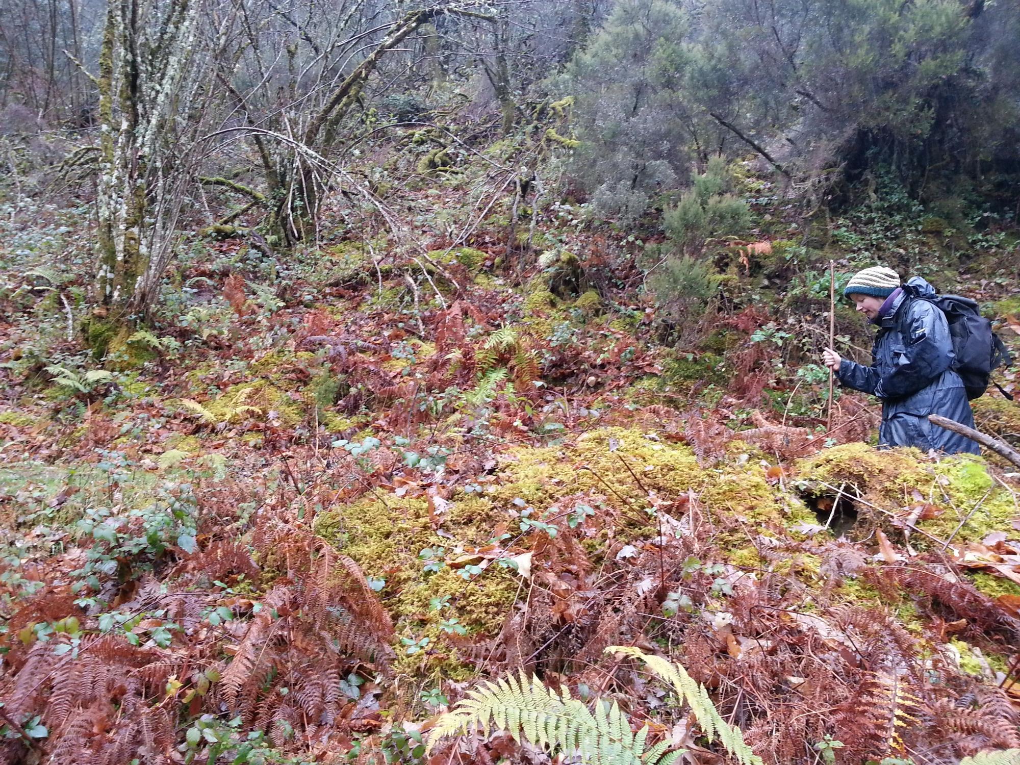 Las 100 fotos que demuestran que el otoño es la mejor época para conocer Asturias