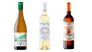 3 buenos vinos blancos por menos de 16 €: Valderivero Verdejo (Valderivero), Santiago Ruiz 2023 (Santiago Ruiz) y Alejairén Crianza 2022 (El Vínculo).
