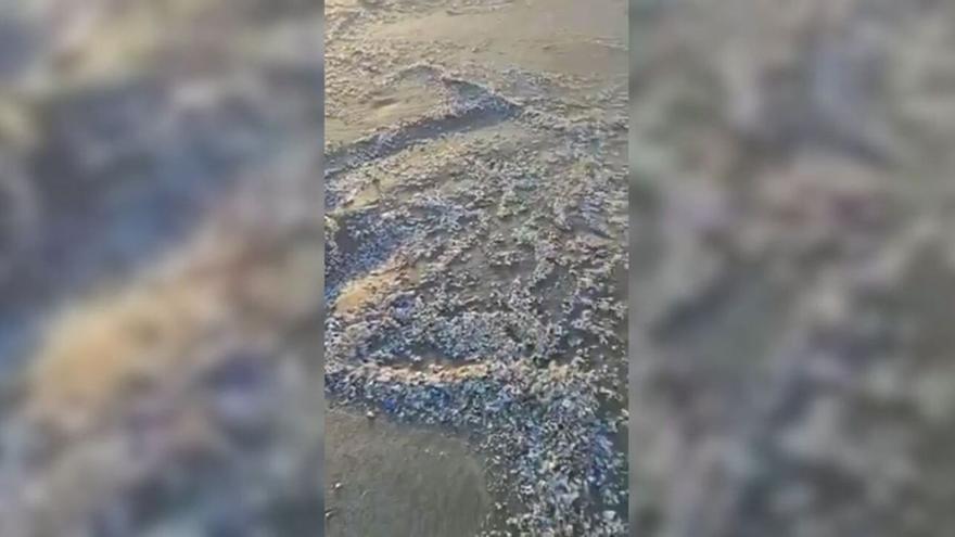 El temporal deja una presencia masiva de microplásticos en la playa de Famara