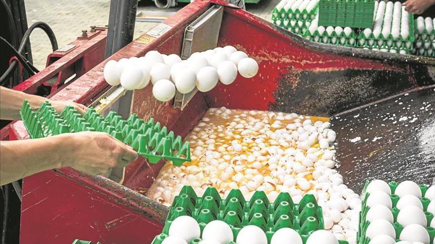 Francia carga contra la UE por la plaga de los huevos contaminados