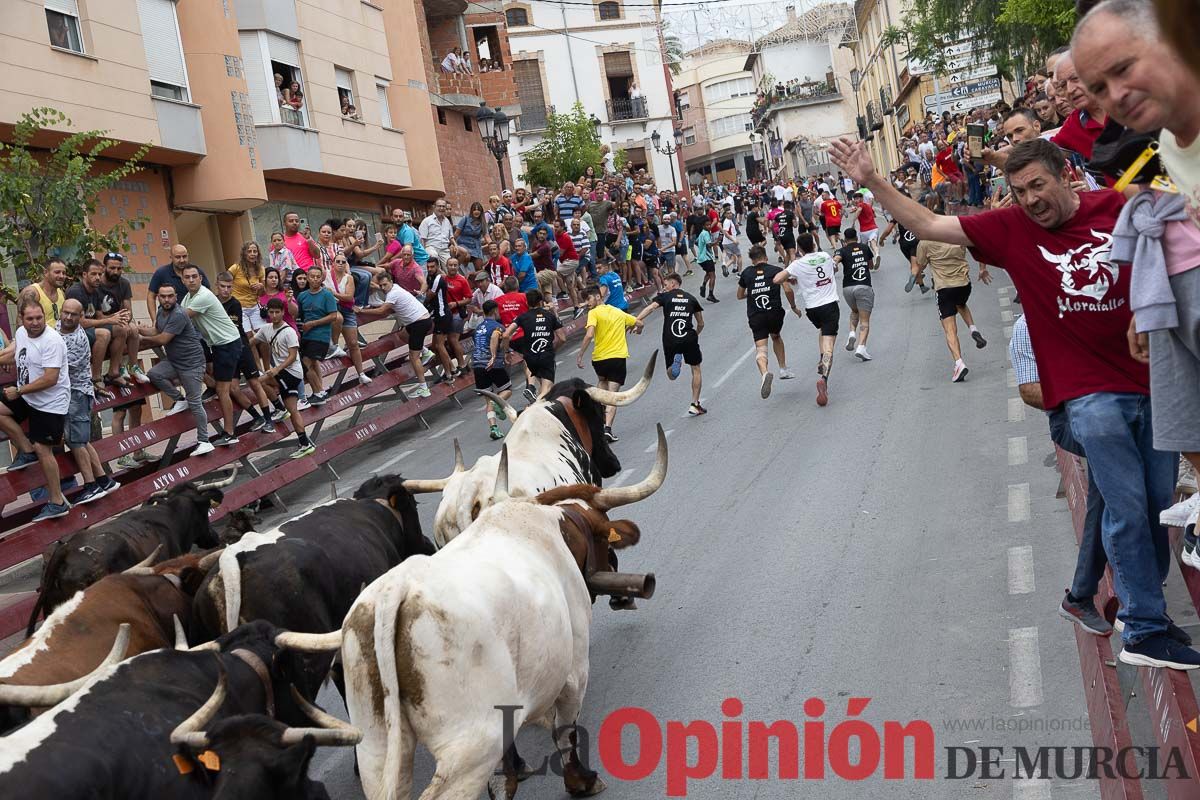 Cuarto encierro en las Fiestas de Moratalla