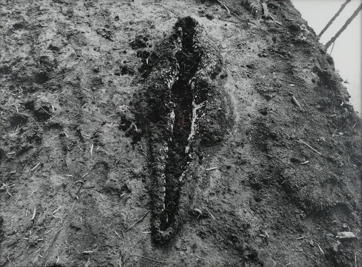 Ana Mendieta. Sin título (Black Venus), 1980.