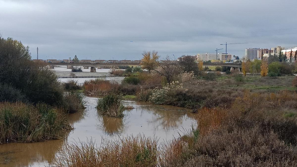 Imagen de la isla del Pico, con el puente de la Autonomía al fondo.