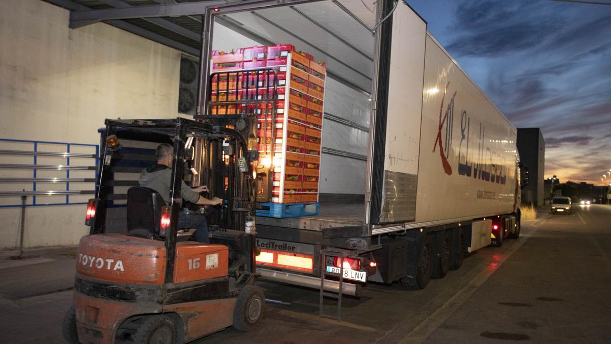 Camión cargando frutas en una cooperativa valenciana.