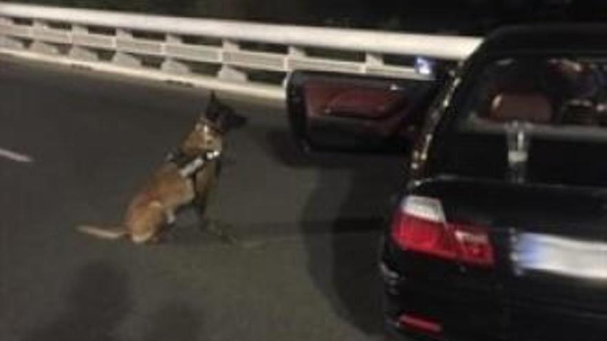 Imagen de archivo de un perro de la Unidad Canina en un control de drogas.