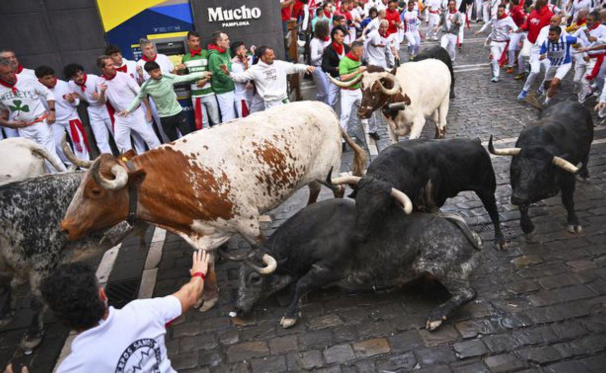 No faré crítica sobre els Sanfermines No faré crítica sobre els Sanfermines
