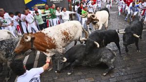 No faré crítica sobre els Sanfermines