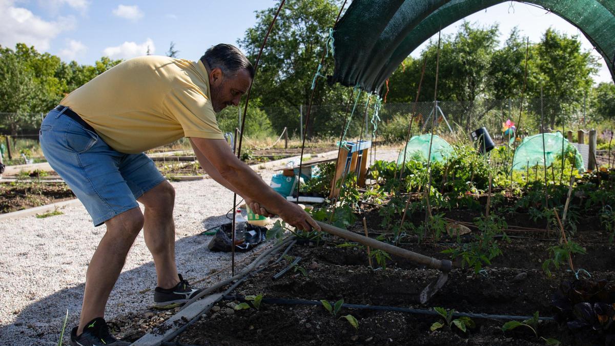 Archivo - Un hombre trabaja en un huerto del Parque de la Olmeda, a 31 de mayo de 2023, en San Lorenzo de El Escorial, Madrid (2023). Durante este año el Ayuntamiento de San Lorenzo de El Escorial ha sacado a sorteo público 38 parcelas de huertos sociales