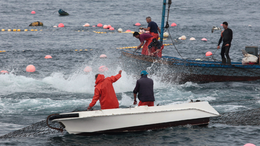 Hoy se reúnen los pescadores españoles y de Gibraltar