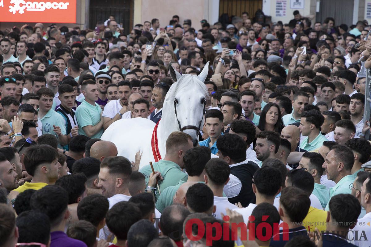Fiestas de Caravaca | Entrega de premios del concurso morfológico