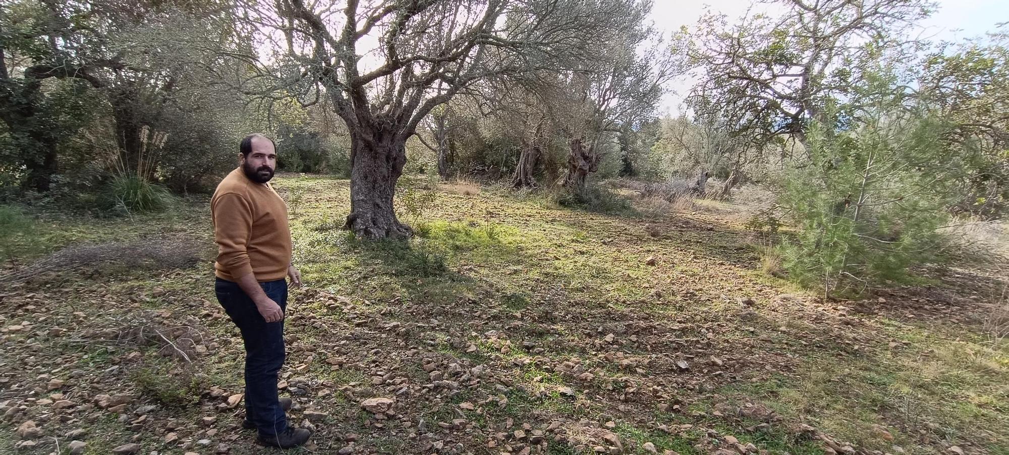 Agricultura | El proyecto de 'Boiet orgànic', en imágenes