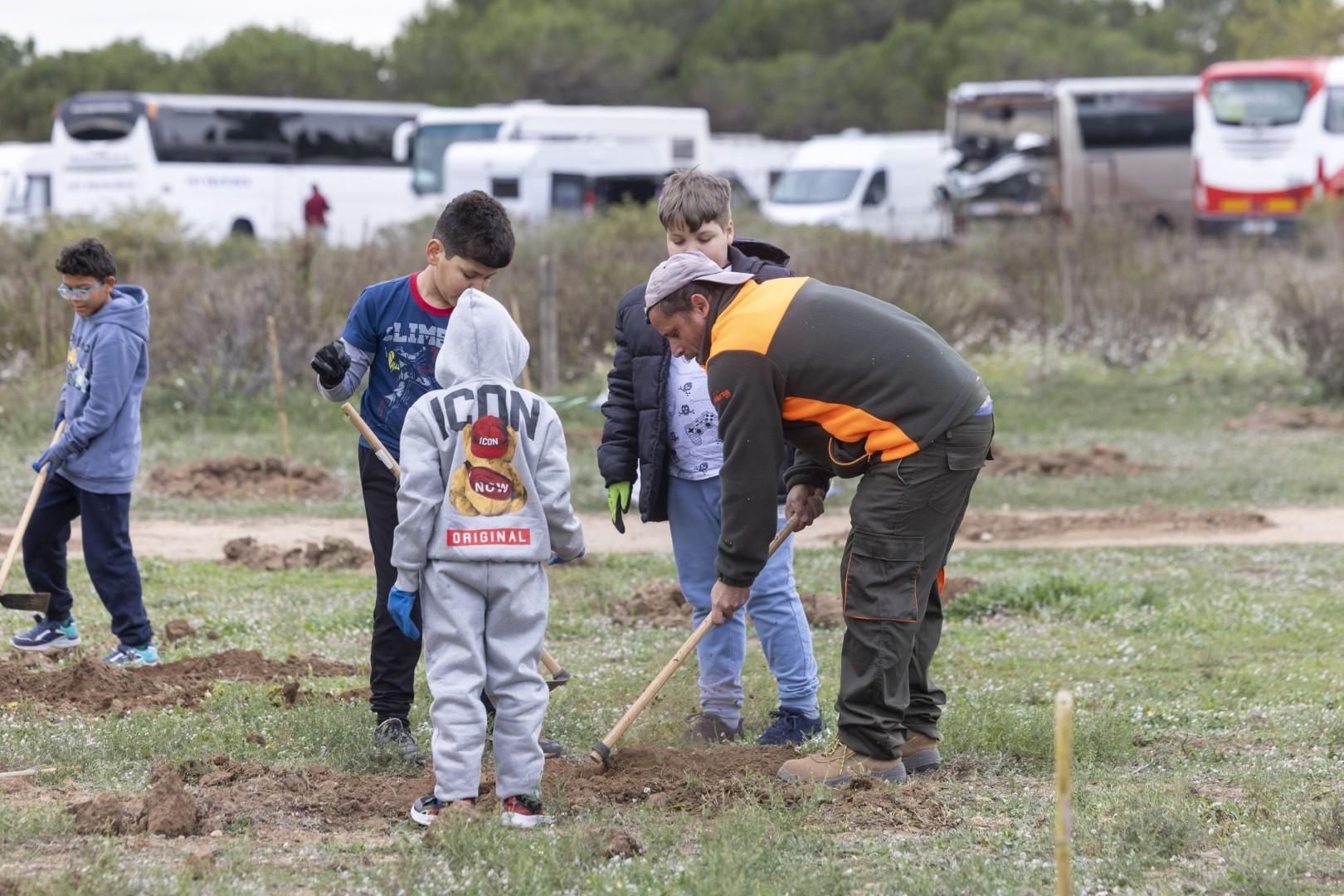 Jornada escolar plantación de especies autóctonas junto al parque natural de las lagunas de Torrevieja y La Mata