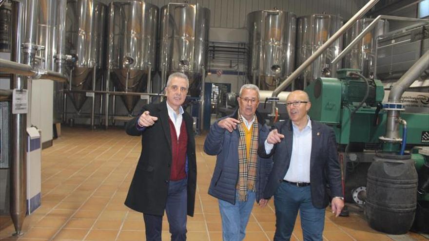 La DO Aceite de Lucena producirá unos 500.000 kilos de virgen extra