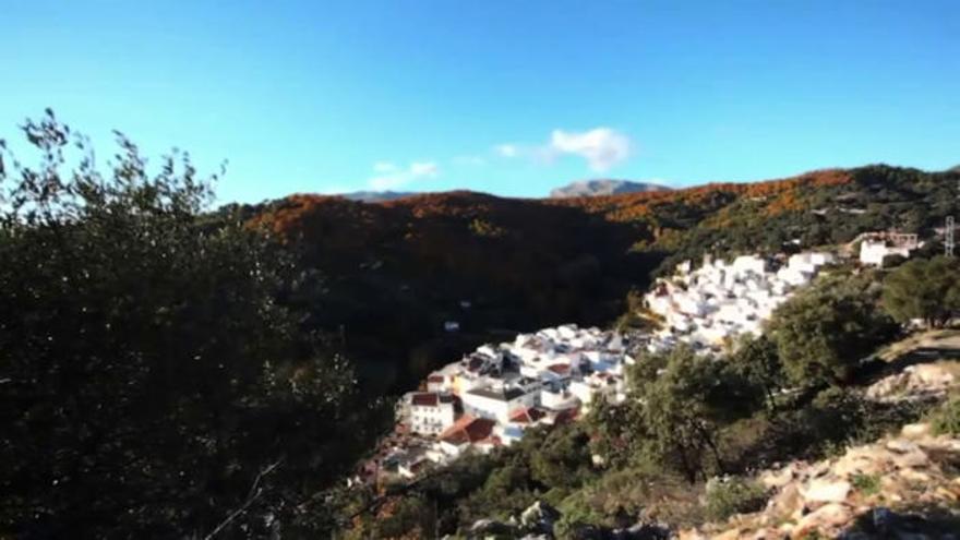 Los afectados han sido trasladados al hospital Serranía de Ronda.