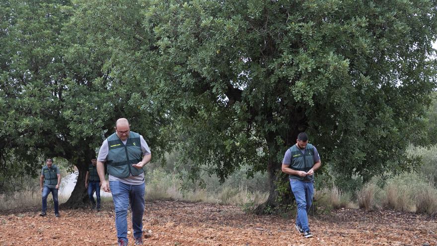 Equipo ROCA de la Guardia Civil que se dedica a perseguir delitos por el campo, como el robo de algarroba