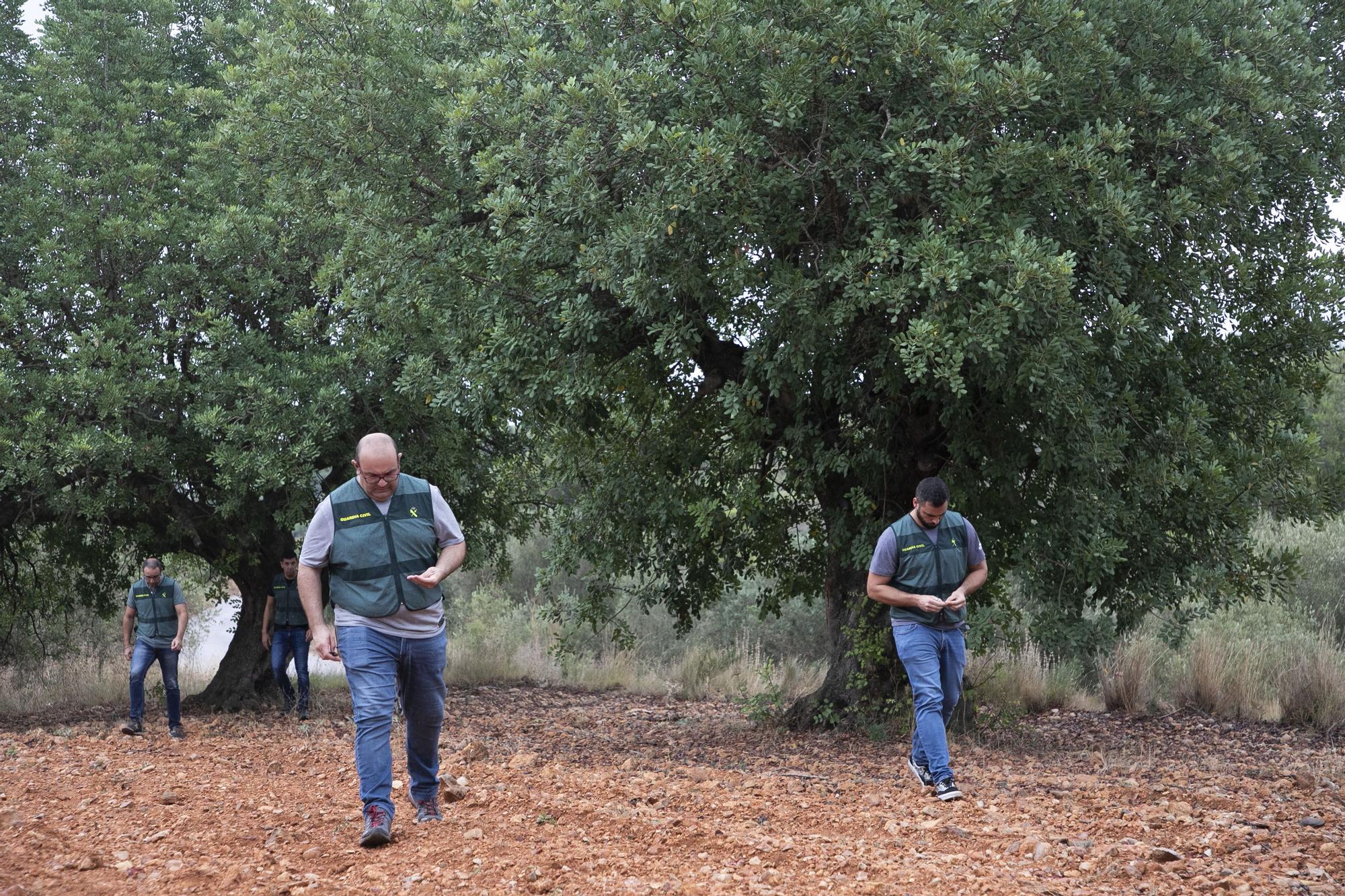 El equipo ROCA de la Guardia Civil vigila los delitos cometidos en el campo