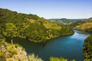 La Reserva de la Biosfera gallega que custodia bosques de robles y las murallas romanas mejor conservadas del mundo