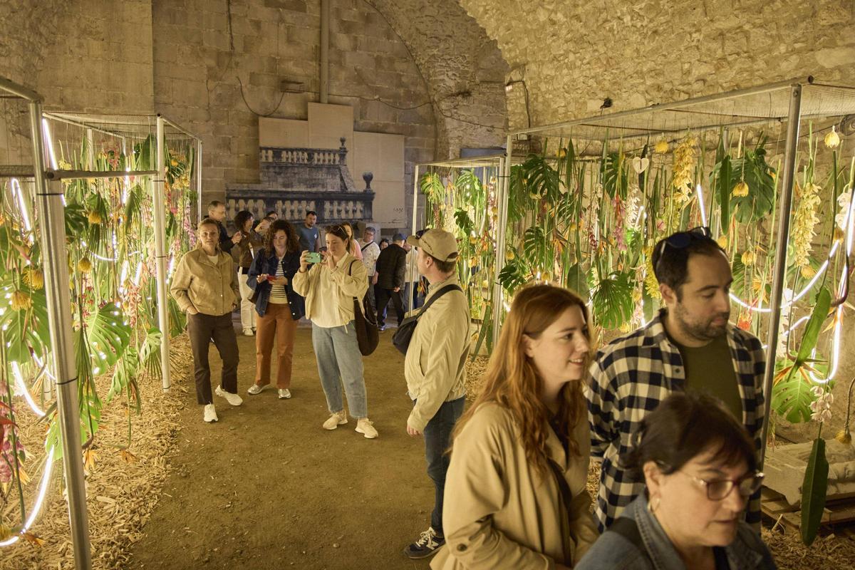 Les imatges del primer dia de Temps de Flors