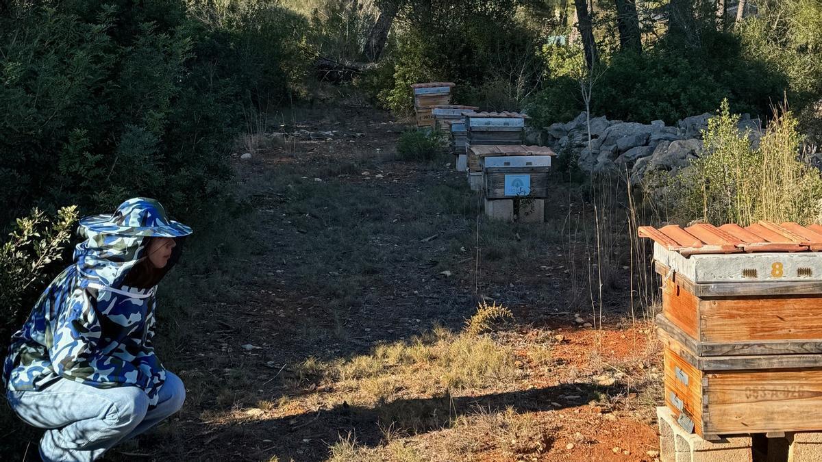 Productos del terreno o de «KmX» Productos del terreno o de «KmX»