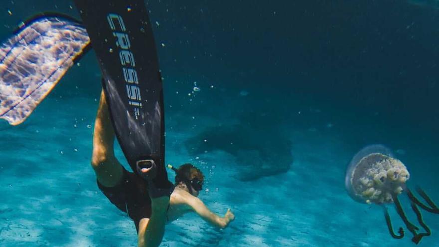 Una medusa de más de un metro en ses Salines