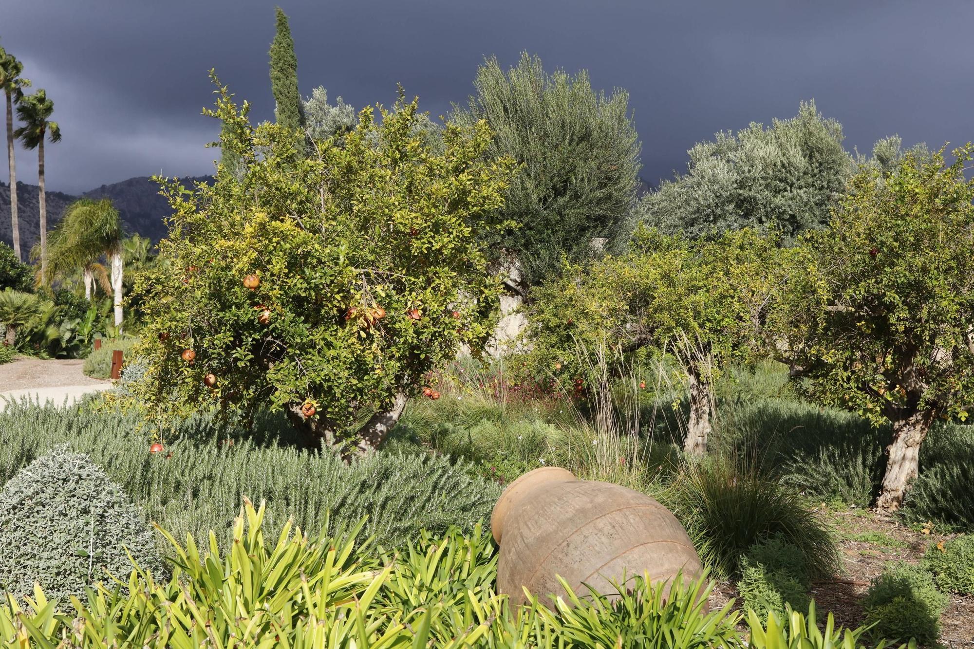 Ein Garten auf Mallorca ganz in Öko