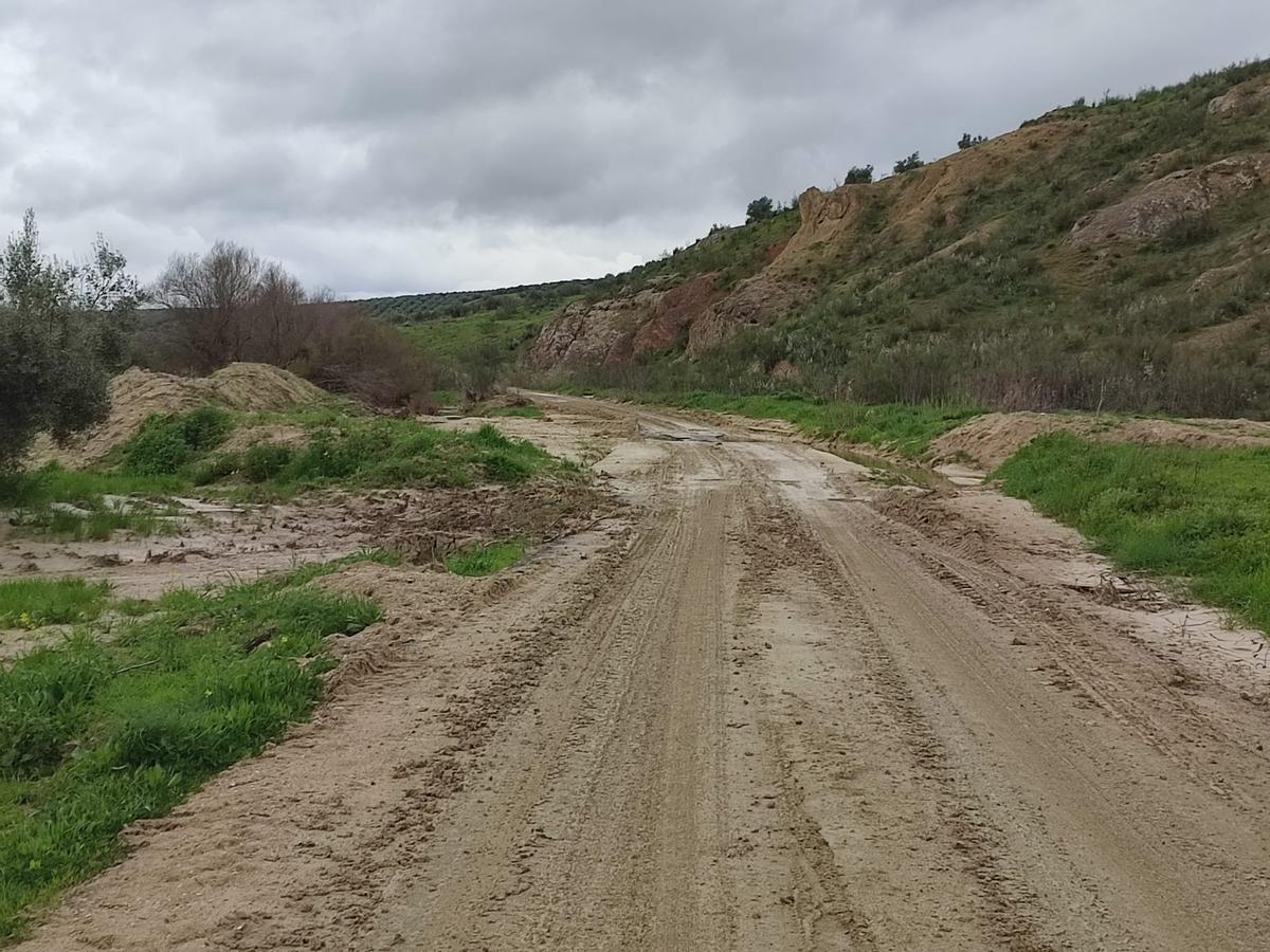 Estado actual de uno de los caminos afectados por el tren de borrascas en Baena que da acceso a fincas agrícolas.