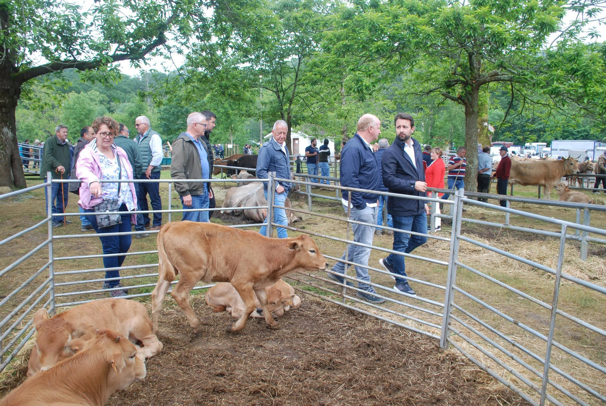 La Feriona de Corao en imágenes