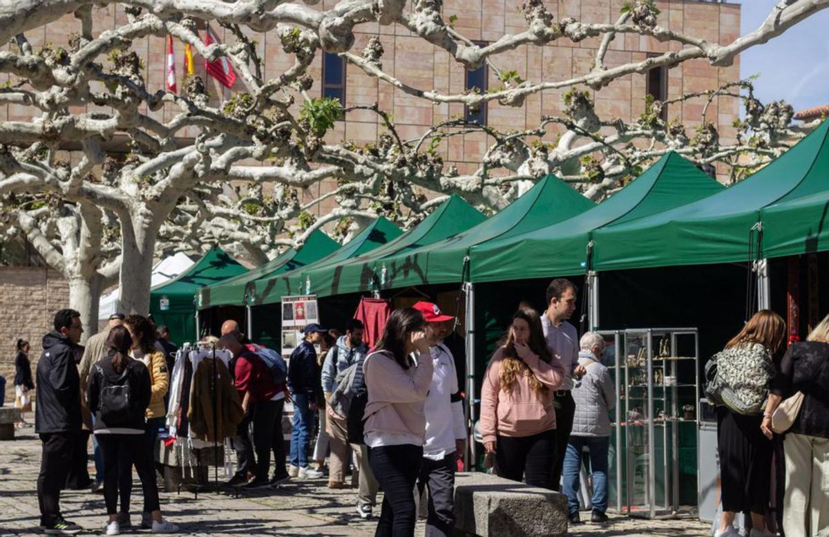 Expositores de la plaza de Viriato. | Alba Prieto