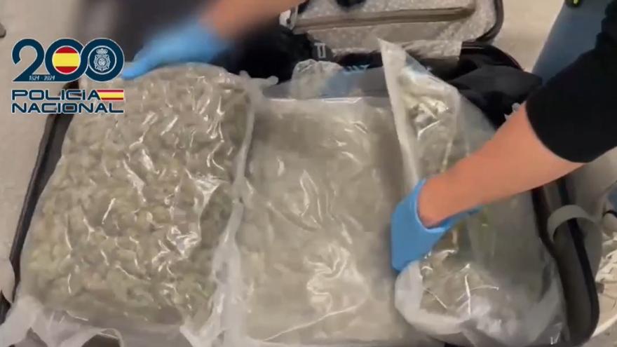 Detenido con 24 kilos de marihuana en la maleta en una estación de autobuses de Barcelona