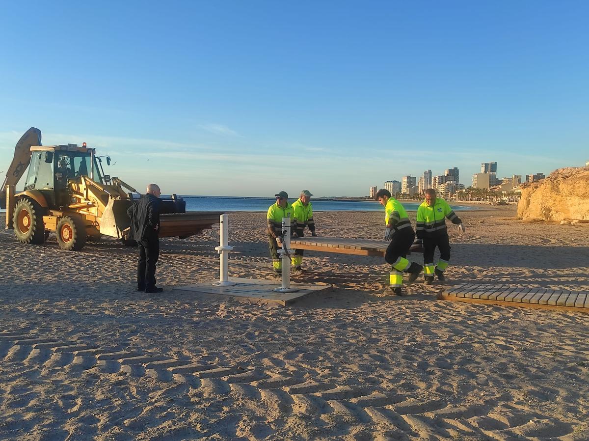 Operarios instalan las pasarelas de madera en las playas de El Campello.