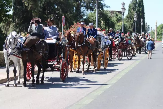 Córdoba exhibe sus carruajes y presume de tradición en el Alcázar