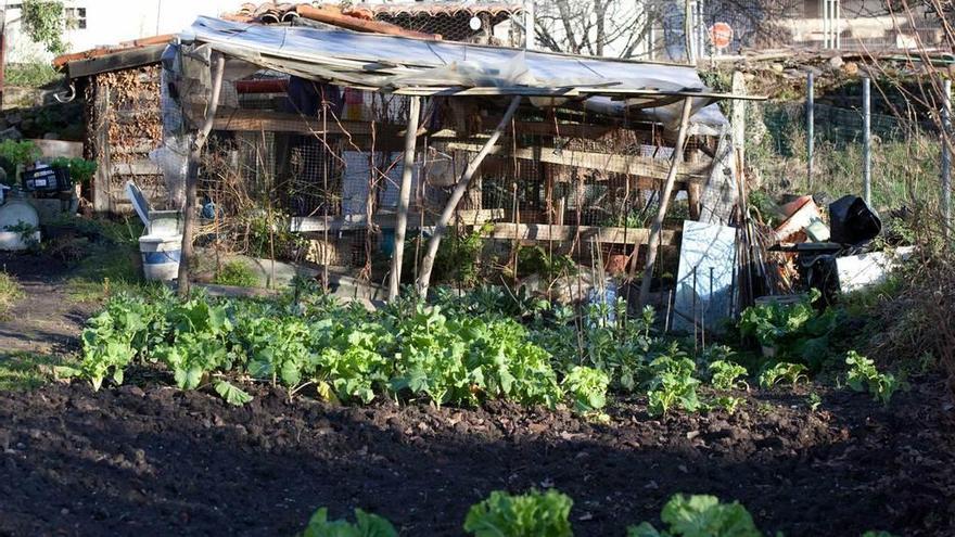 Una de las construcciones sobre las que se actuará, en la zona de La Isla, en Blimea.