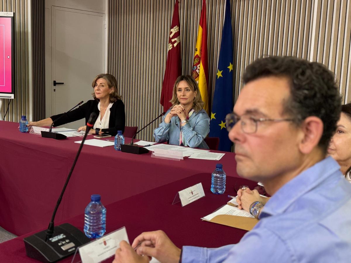 La consejera de Política Social, Familias e Igualdad, Conchita Ruiz, presidiendo el Consejo Asesor de Infancia y Familias.