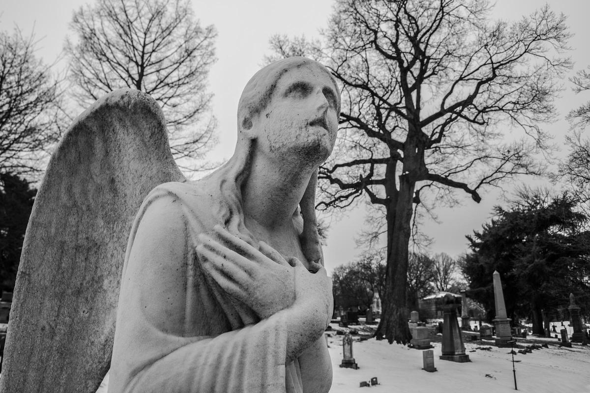 Las EMC comparten rasgos llamativos: el abandono del cuerpo, el encuentro con personas fallecidas o la experimentación del dolor de a quien se lastimó durante la vida...